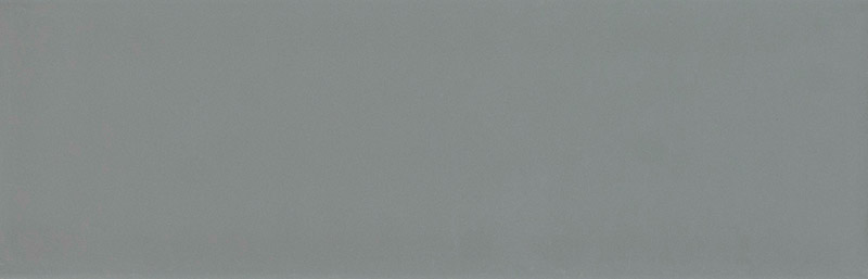Century Matt Graphite 300 x 100 Ceramic Tiles