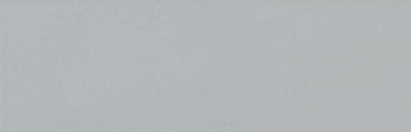 Century Matt Grey 300 x 100 Ceramic Tiles