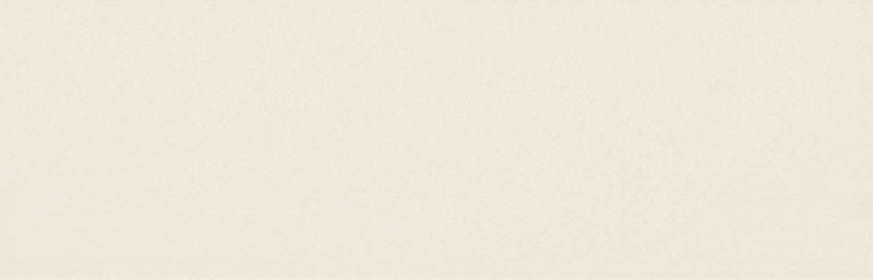 Century Matt Pergammon 300 x 100 Ceramic Tiles