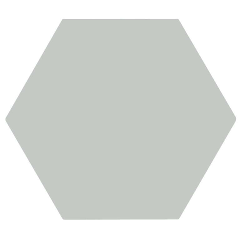 Lichen-Matt-Porcelain-Hexagon