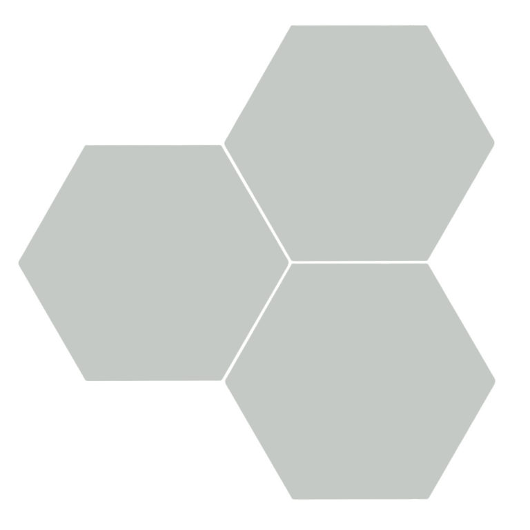 Lichen-Matt-Porcelain-Hexagon