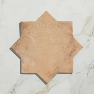 Fez Porcelain Star Cotto